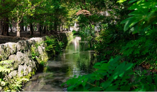 用水路の状況監視